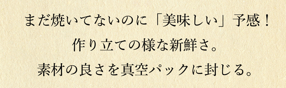唐津バーグ いきや食品 さとふる1位のハンバーグ 福さ屋辛子めんたいセット