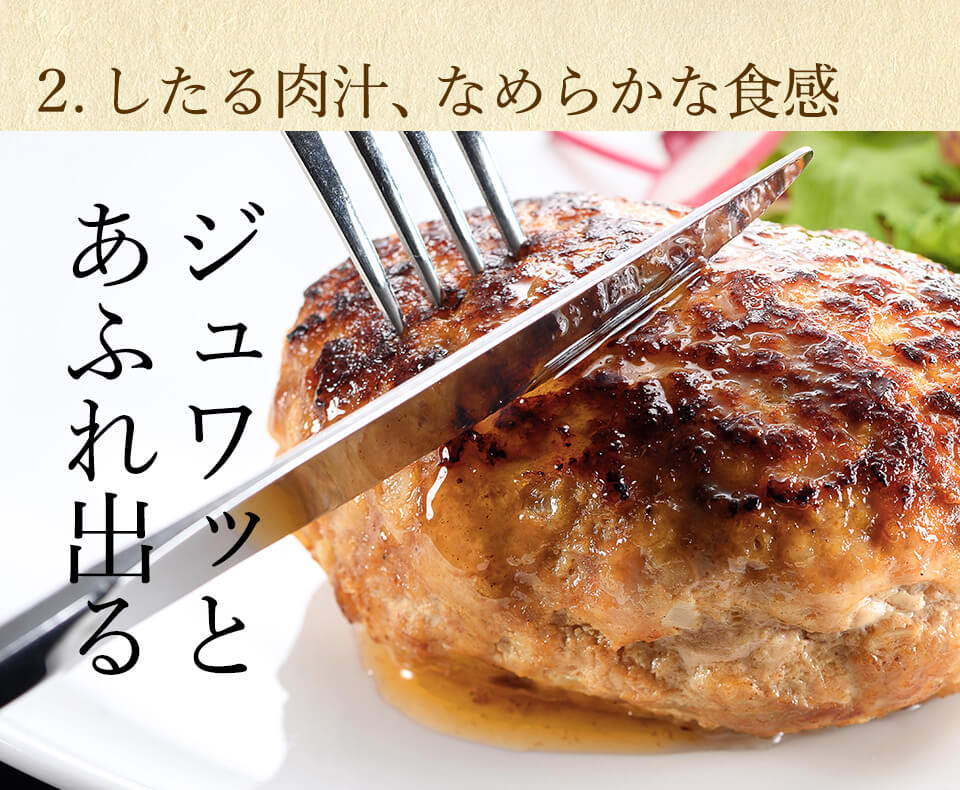 唐津バーグ いきや食品 さとふる1位のハンバーグ 福さ屋辛子めんたいセット