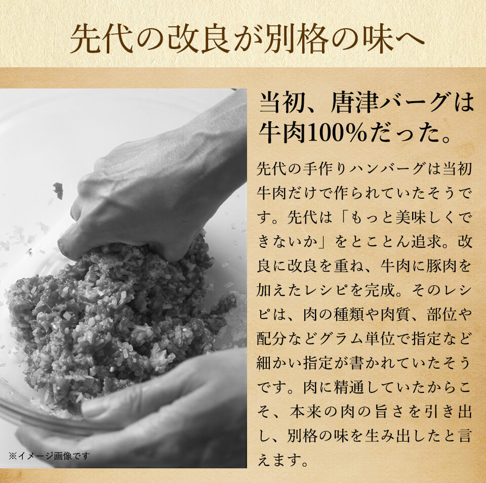 唐津バーグ いきや食品 さとふる1位のハンバーグ 福さ屋辛子めんたいセット