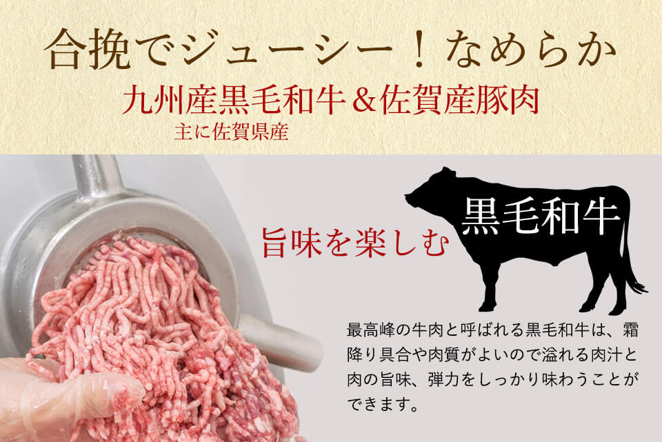 唐津バーグ いきや食品 さとふる1位のハンバーグ 福さ屋辛子めんたいセット
