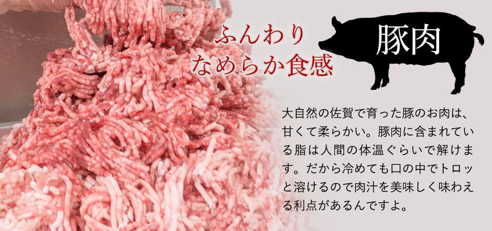 唐津バーグ いきや食品 さとふる1位のハンバーグ 福さ屋辛子めんたいセット