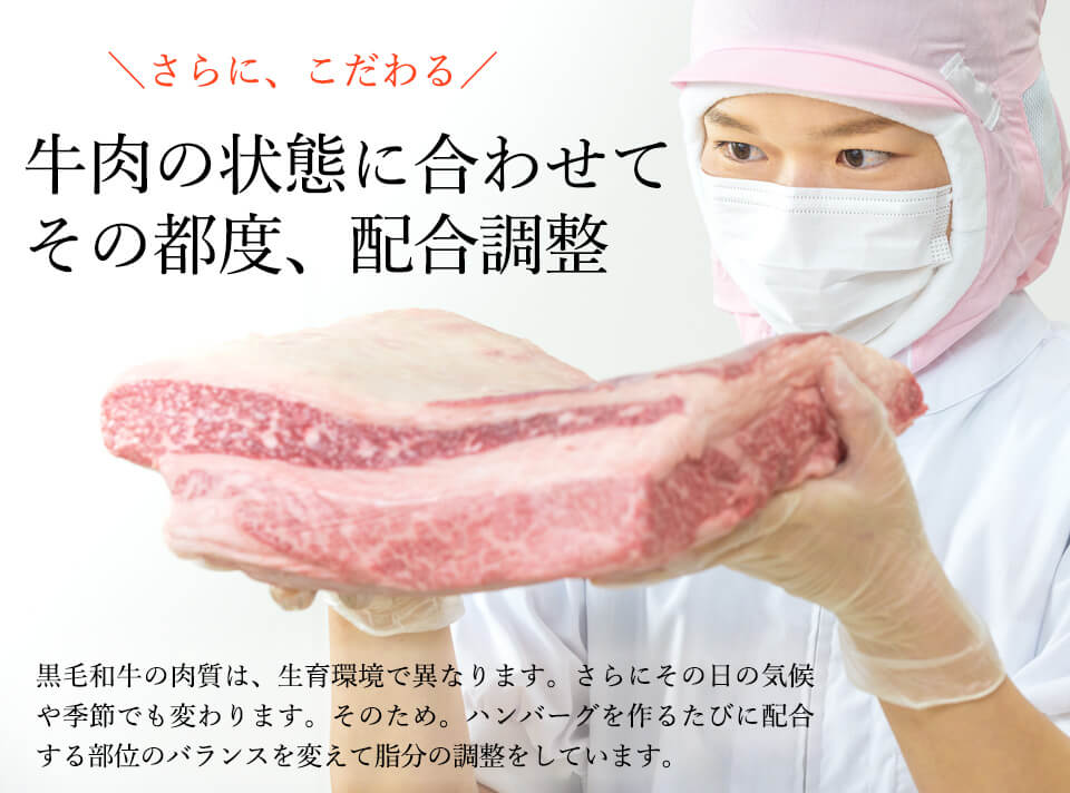 唐津バーグ いきや食品 さとふる1位のハンバーグ 福さ屋辛子めんたいセット