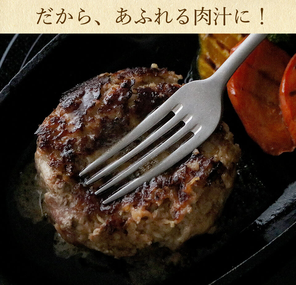 唐津バーグ いきや食品 さとふる1位のハンバーグ 福さ屋辛子めんたいセット