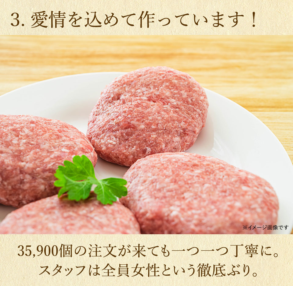 唐津バーグ いきや食品 さとふる1位のハンバーグ 福さ屋辛子めんたいセット