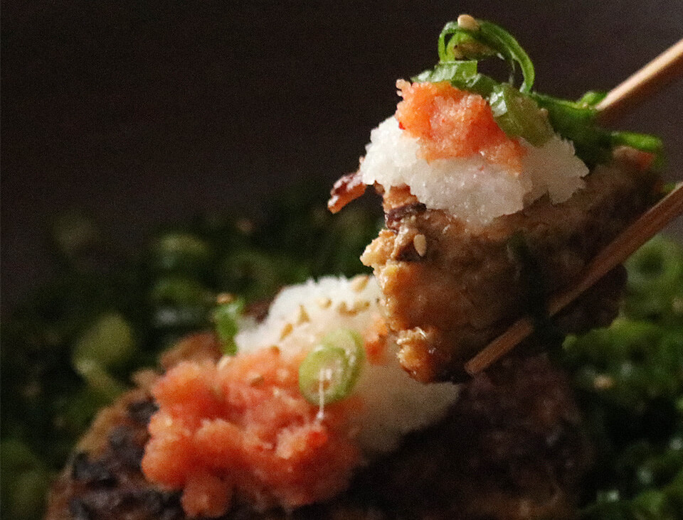 唐津バーグ いきや食品 さとふる1位のハンバーグ 福さ屋辛子めんたいセット