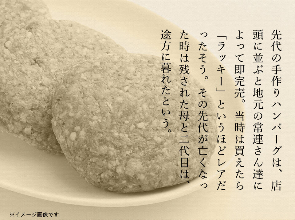 唐津バーグ いきや食品 さとふる1位のハンバーグ 福さ屋辛子めんたいセット