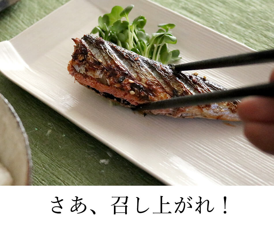 鰯めんたい 4尾×2セット 公式 辛子 めんたい 福さ屋 明太子