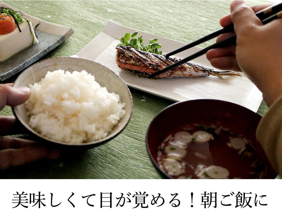 鰯めんたい 4尾×2セット 公式 辛子 めんたい 福さ屋 明太子