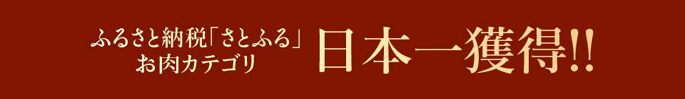 唐津バーグ いきや食品 さとふる１位のハンバーグ 福さ屋辛子めんたいセット