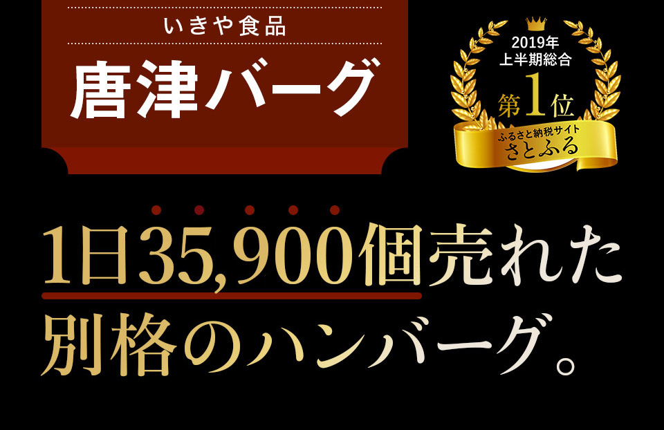 唐津バーグ いきや食品 さとふる１位のハンバーグ 福さ屋辛子めんたいセット