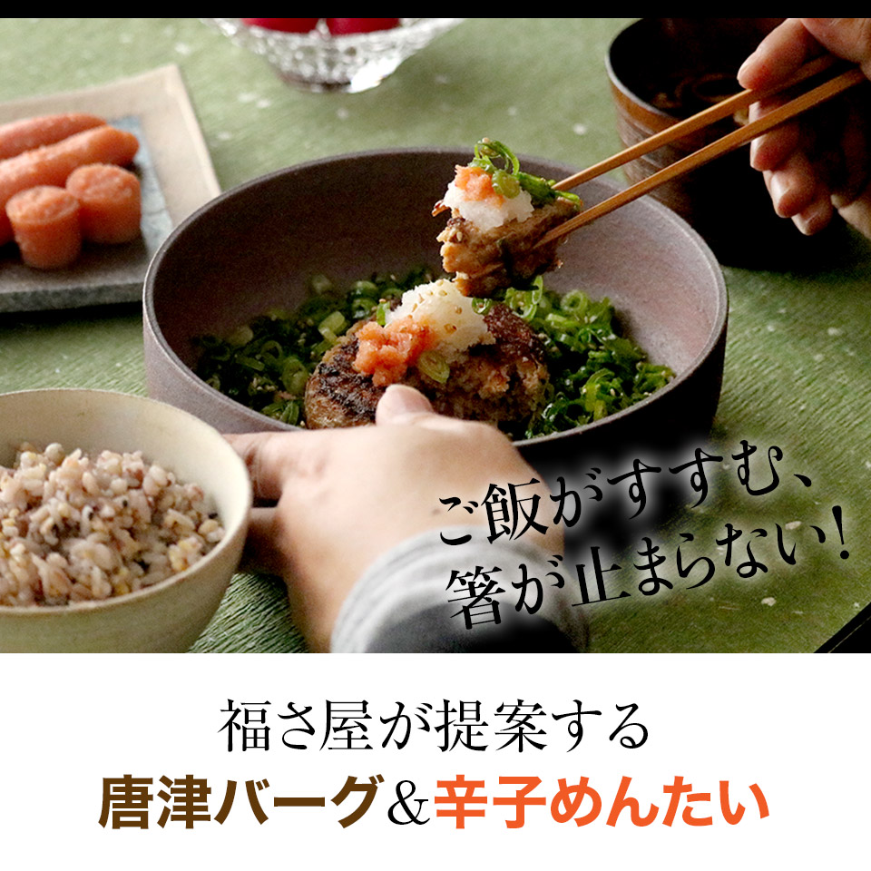 唐津バーグ いきや食品 さとふる１位のハンバーグ 福さ屋辛子めんたいセット