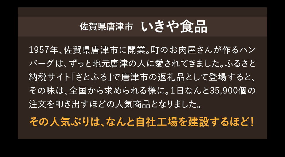 唐津バーグ いきや食品 さとふる１位のハンバーグ 福さ屋辛子めんたいセット