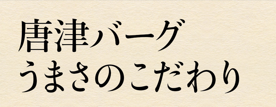 唐津バーグ いきや食品 さとふる１位のハンバーグ 福さ屋辛子めんたいセット