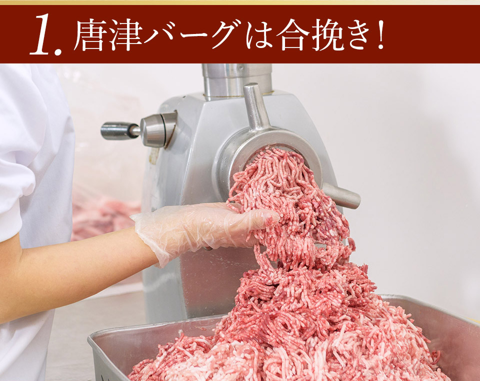 唐津バーグ いきや食品 さとふる１位のハンバーグ 福さ屋辛子めんたいセット