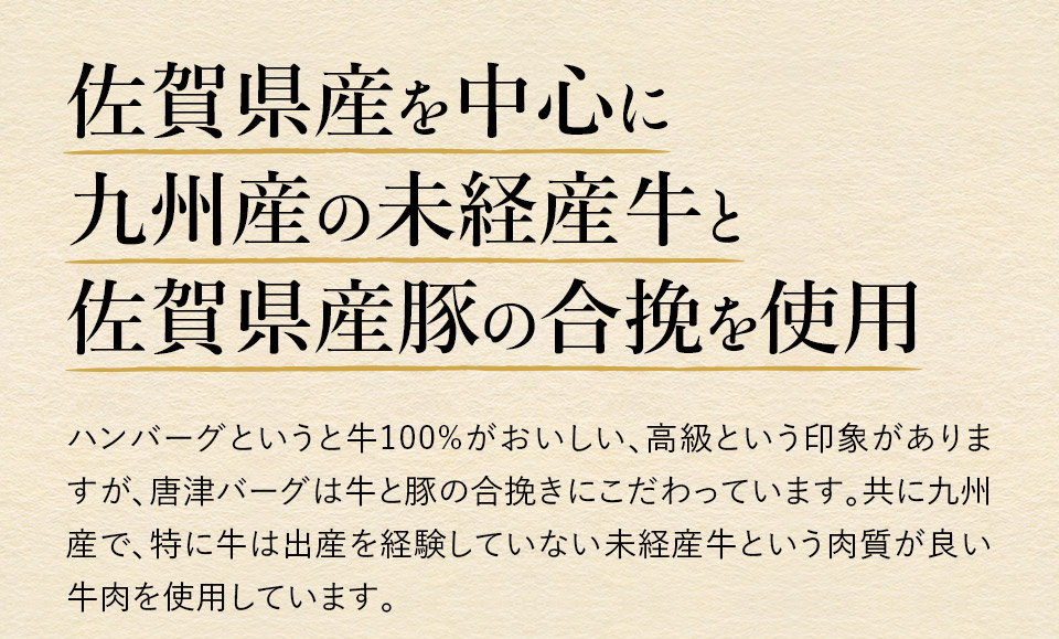 唐津バーグ いきや食品 さとふる１位のハンバーグ 福さ屋辛子めんたいセット