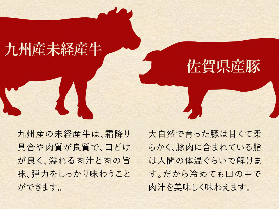 唐津バーグ いきや食品 さとふる１位のハンバーグ 福さ屋辛子めんたいセット