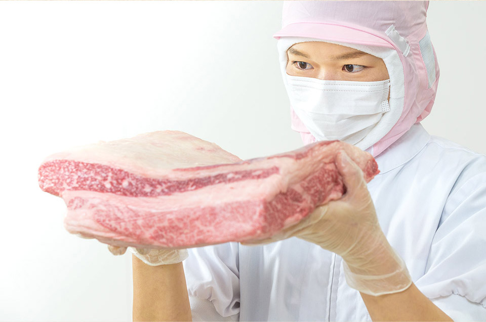 唐津バーグ いきや食品 さとふる１位のハンバーグ 福さ屋辛子めんたいセット