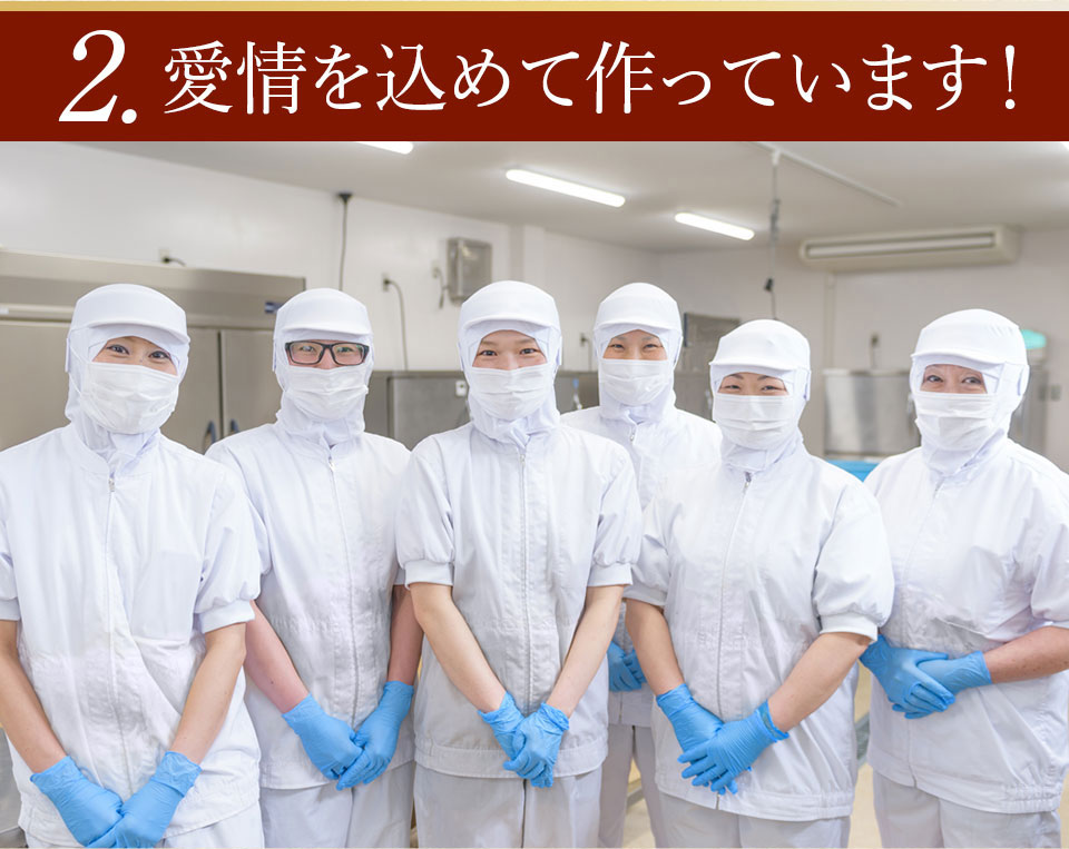 唐津バーグ いきや食品 さとふる１位のハンバーグ 福さ屋辛子めんたいセット