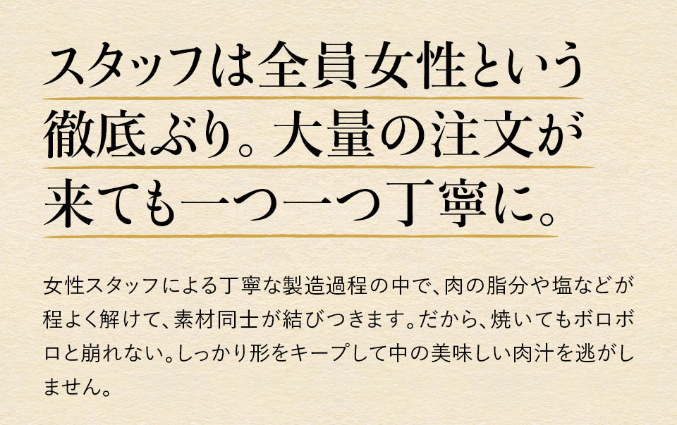 唐津バーグ いきや食品 さとふる１位のハンバーグ 福さ屋辛子めんたいセット