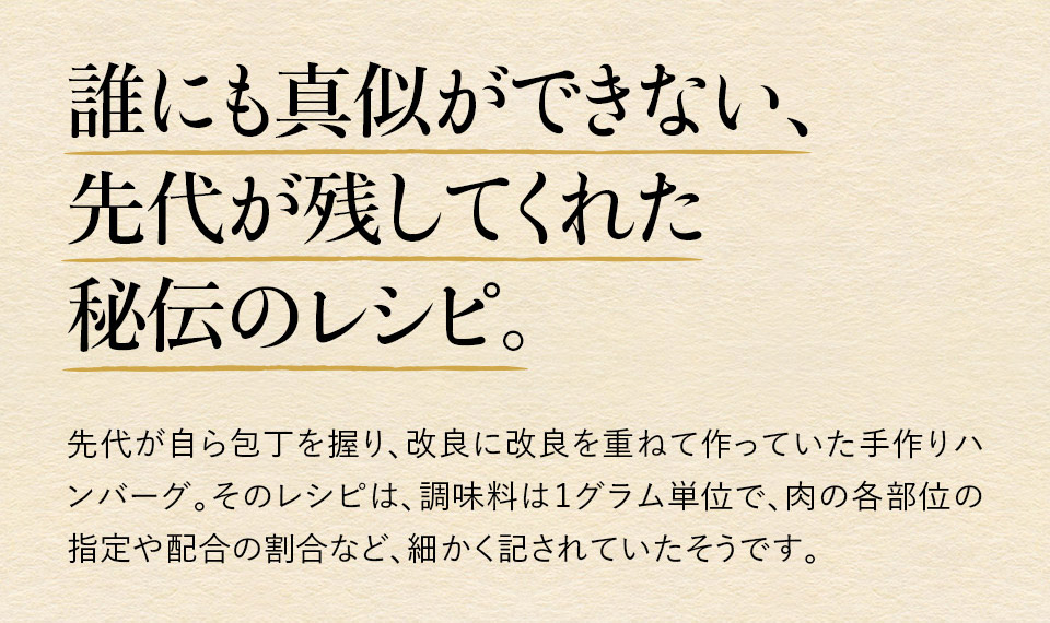 唐津バーグ いきや食品 さとふる１位のハンバーグ 福さ屋辛子めんたいセット