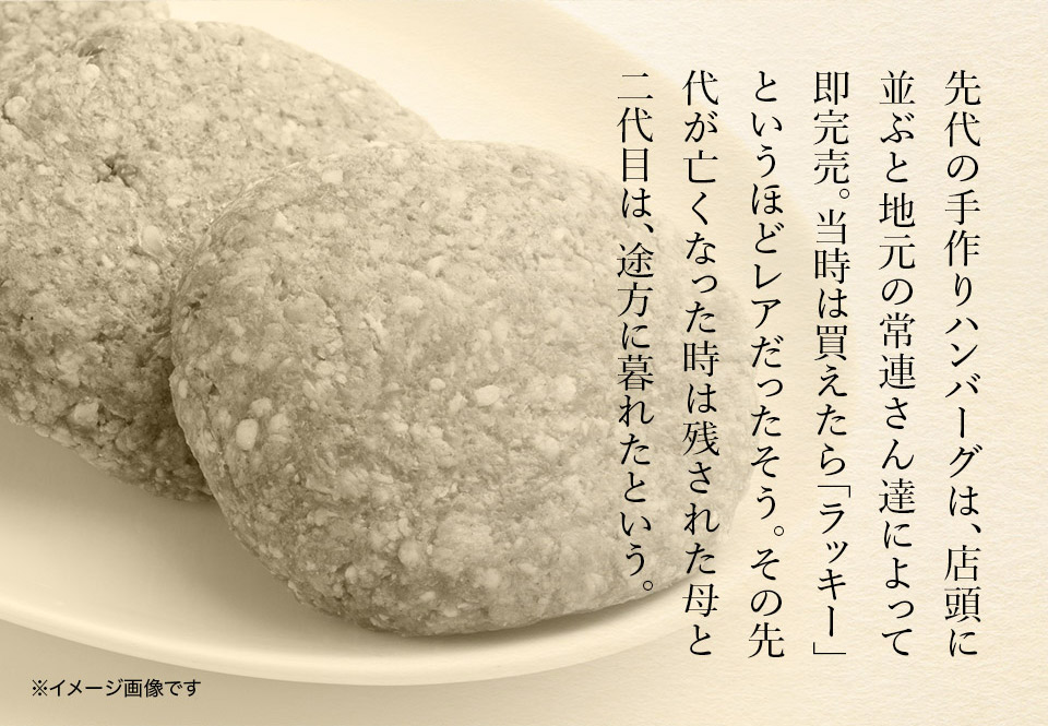 唐津バーグ いきや食品 さとふる１位のハンバーグ 福さ屋辛子めんたいセット