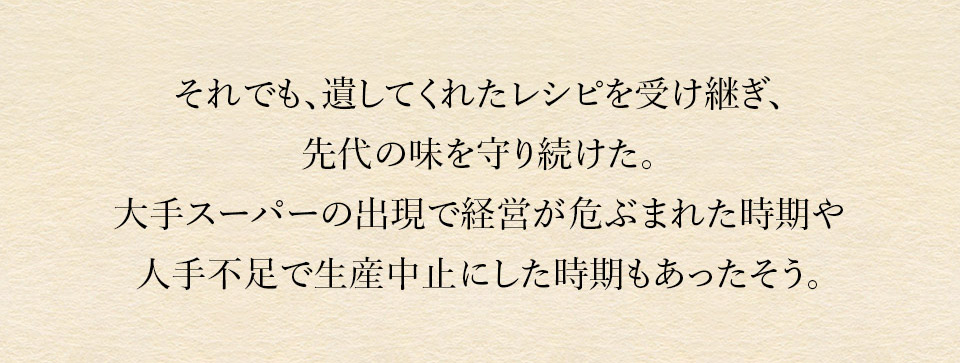 唐津バーグ いきや食品 さとふる１位のハンバーグ 福さ屋辛子めんたいセット