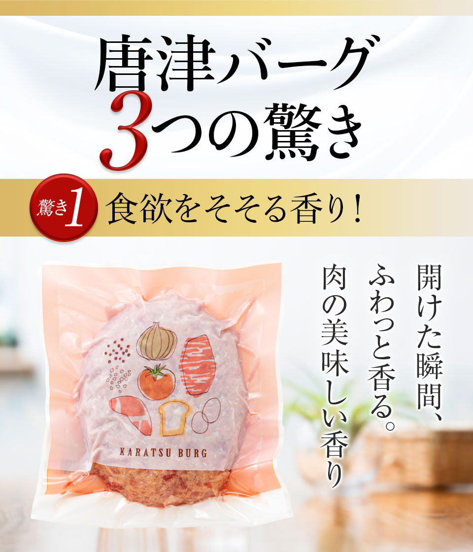 唐津バーグ いきや食品 さとふる１位のハンバーグ 福さ屋辛子めんたいセット