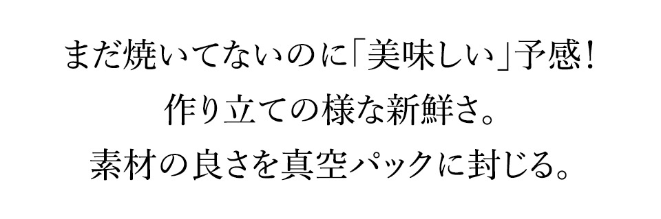 唐津バーグ いきや食品 さとふる１位のハンバーグ 福さ屋辛子めんたいセット