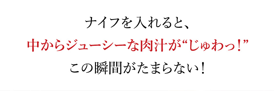 唐津バーグ いきや食品 さとふる１位のハンバーグ 福さ屋辛子めんたいセット