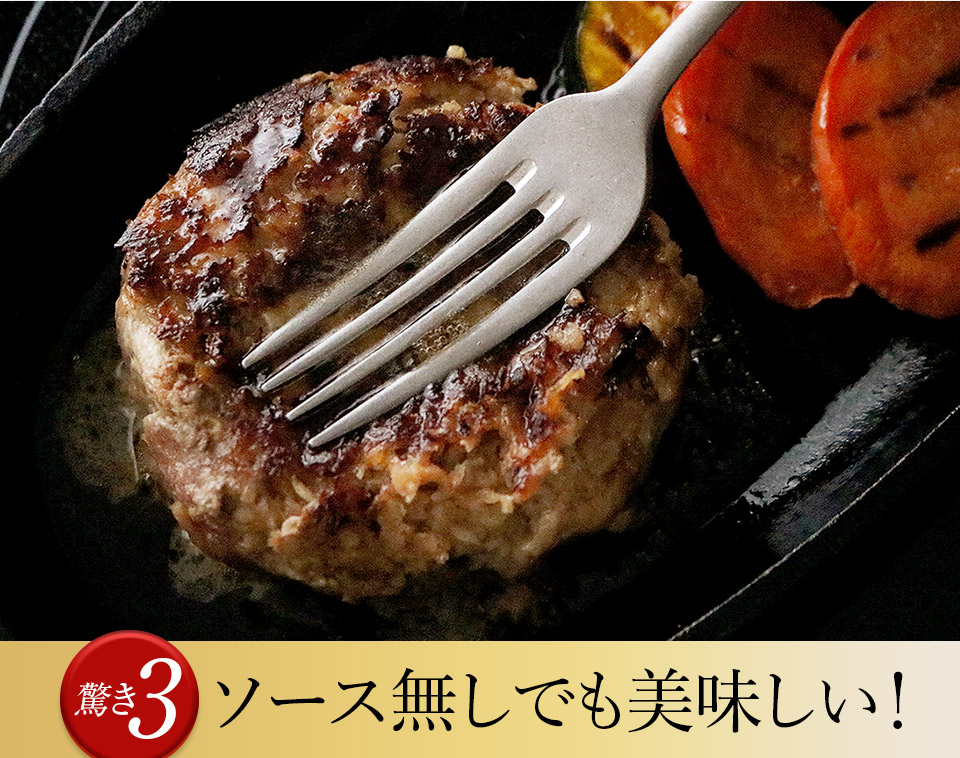 唐津バーグ いきや食品 さとふる１位のハンバーグ 福さ屋辛子めんたいセット