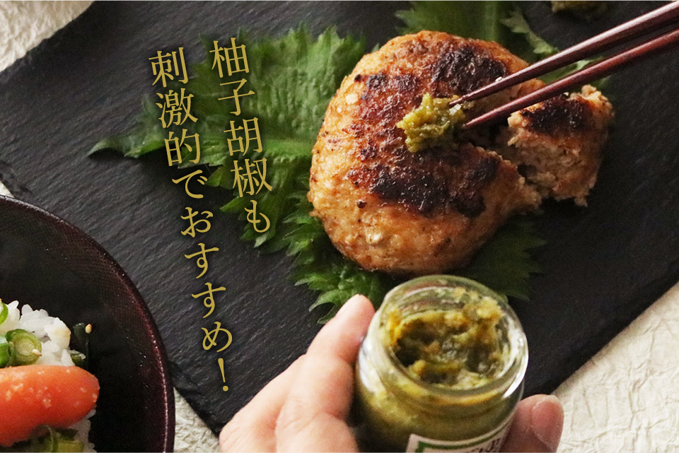 唐津バーグ いきや食品 さとふる１位のハンバーグ 福さ屋辛子めんたいセット