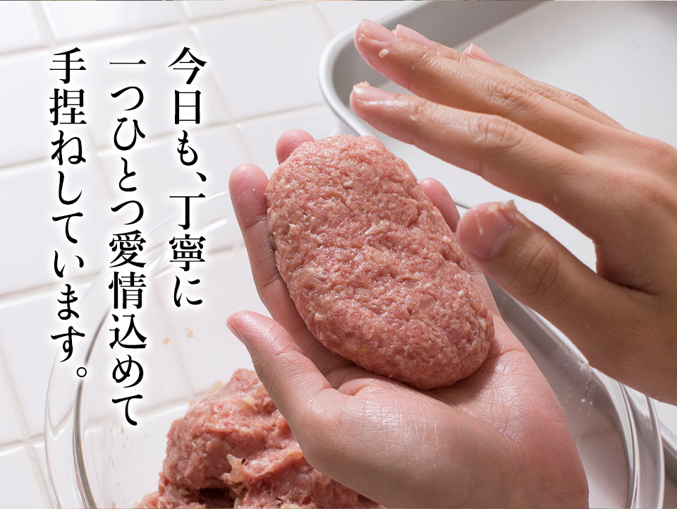 唐津バーグ いきや食品 さとふる１位のハンバーグ 福さ屋辛子めんたいセット